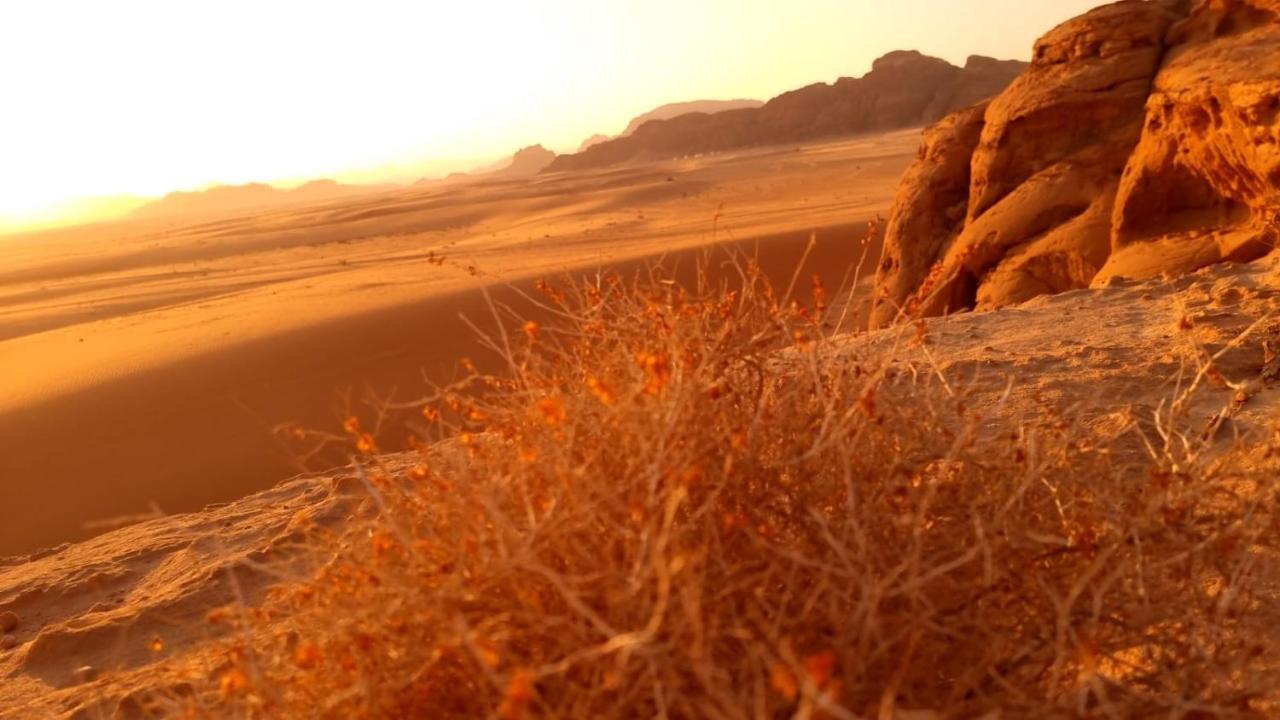 וואדי רם Waseem Luxury Camp מראה חיצוני תמונה